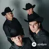 Grupo otro estilo - L'immensité