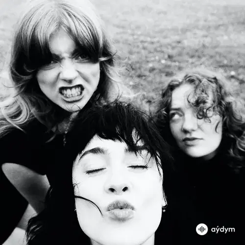 Folk Bitch Trio