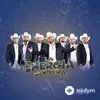 La Energia Nortena - Hey There Delilah