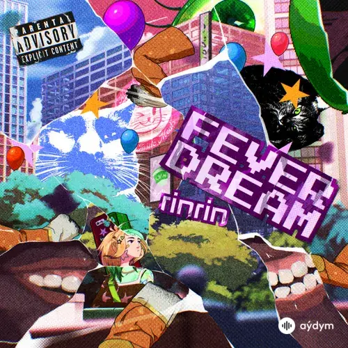 RinRin - fever dream