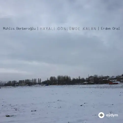 Muhlis Berberoğlu
