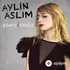 Aylin Aslim-Teoman - İki Zavallı Kuş feat. Teoman (feat. Teoman)