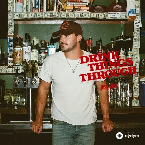 Josh Ross - Drink Things Through