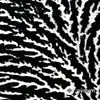 Grouper  - Cover the Windows and the Walls