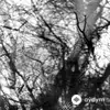 Grouper  - Way Their Crept