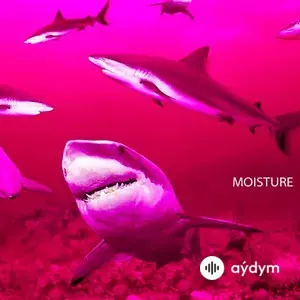 Moisture