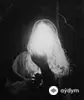 mercury - Roar Of The Heliac Goat