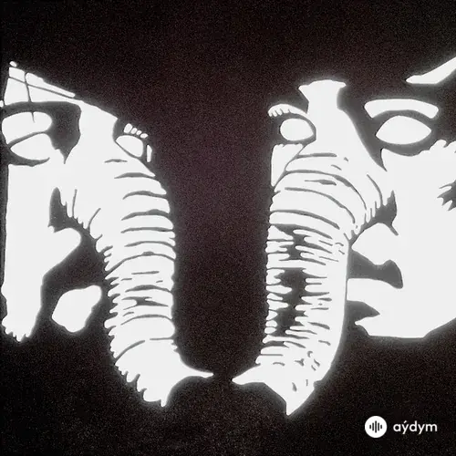 Death From Above 1979 - Private Lives