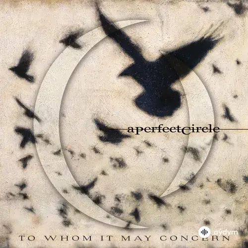 A Perfect Circle - To Whom It May Concern