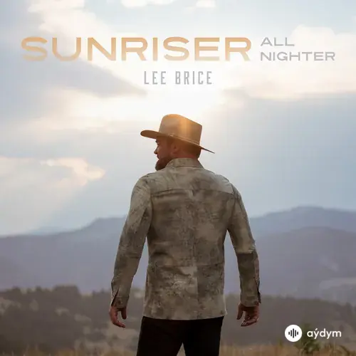 Lee Brice - While We Didn't Last