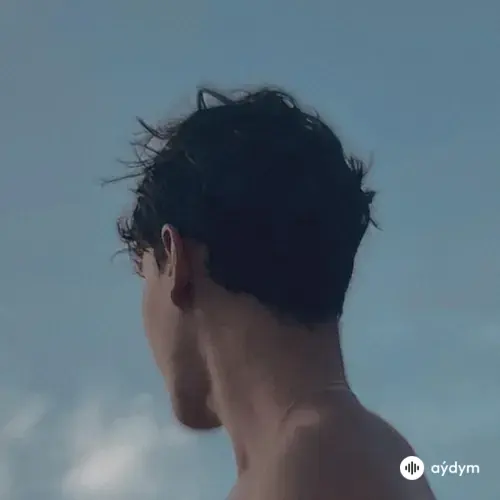 Marcelo De Carvalho