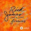 Rick James - Mystic Booty - Intro
