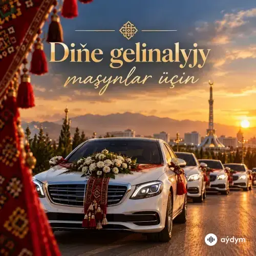 Diňe gelinalyjy maşynlar üçin
