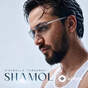 Shamol