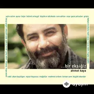 Bir Eksiğiz: Ahmet Kaya