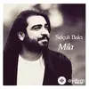 Selçuk Balcı - Dağların Karı Yetmez
