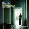 Demir Demirkan - Alıştım Artık