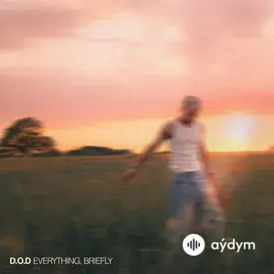 Everything, Briefly